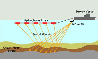 Seismic survey diagram